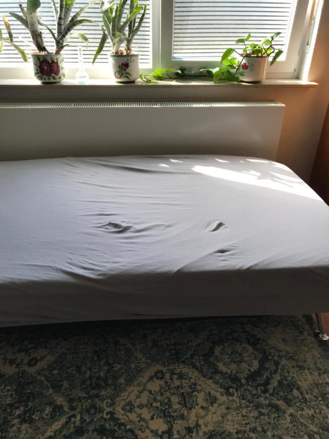 Grosses, Helles Apartement - Naehe Marburg & Giessen Homestay Fronhausen