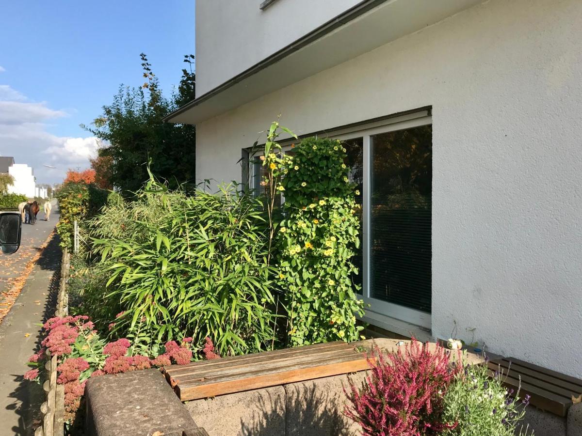 Grosses, Helles Apartement - Naehe Marburg & Giessen *